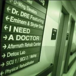"I Need a Doctor" by Dr. Dre, Eminem, and Skylar Grey: Platinum-certified hit resonates globally.
