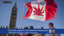 Legalizing recreational marijuana: Canada as second country globally to do so.