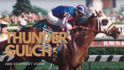Thunder Gulch triumphs with jockey Gary Stevens in the saddle in fast conditions.