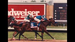 Spend A Buck wins with jockey Ángel Cordero Jr. in 2:00.2 on fast track.