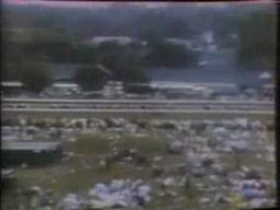 Sunny's Halo triumphs with Delahoussaye, Cross Jr., Foster stable at 1+1⁄4 miles race.