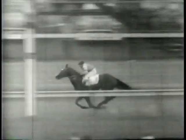 Moment image for  Raymond York rides, William Molter trains Determine to victory for Andy Crevolin.