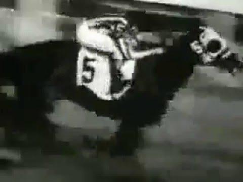 Moment image for Gallahadion's victory with Bierman under Waldron for Milky Way Farm in fast conditions.