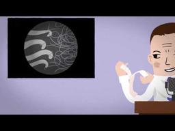 Inventor George de Mestral patents Velcro