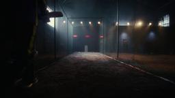 The 2024 ICC Women's T20 World Cup begins and is won by New Zealand.