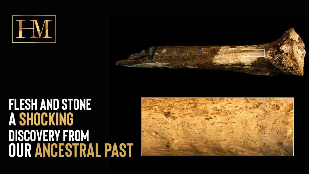 Moment image for Cannibalism Evidence in 1.45-Million-Year-Old Leg Bone