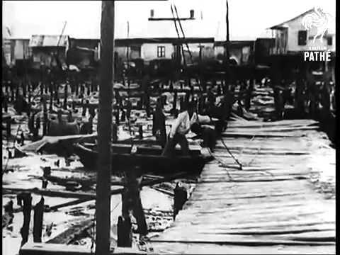 Moment image for Deadly Fire Engulfs Lagunillas Refinery - Hundreds Dead