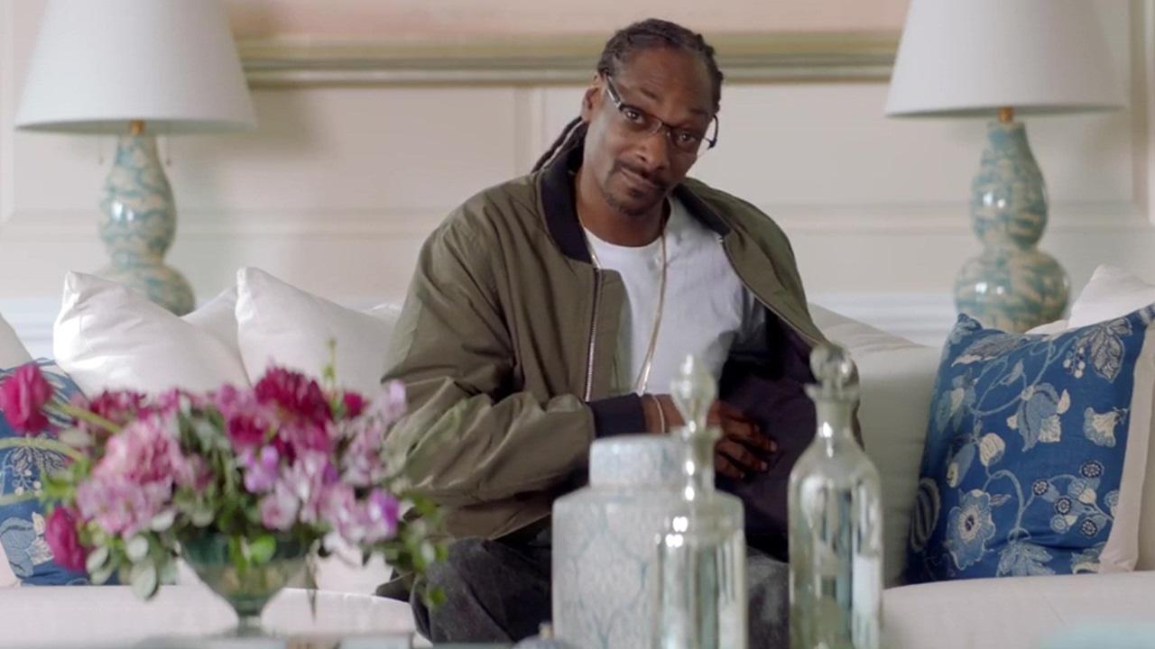 Moment image for Starred in Super Bowl LI Commercial with Martha Stewart