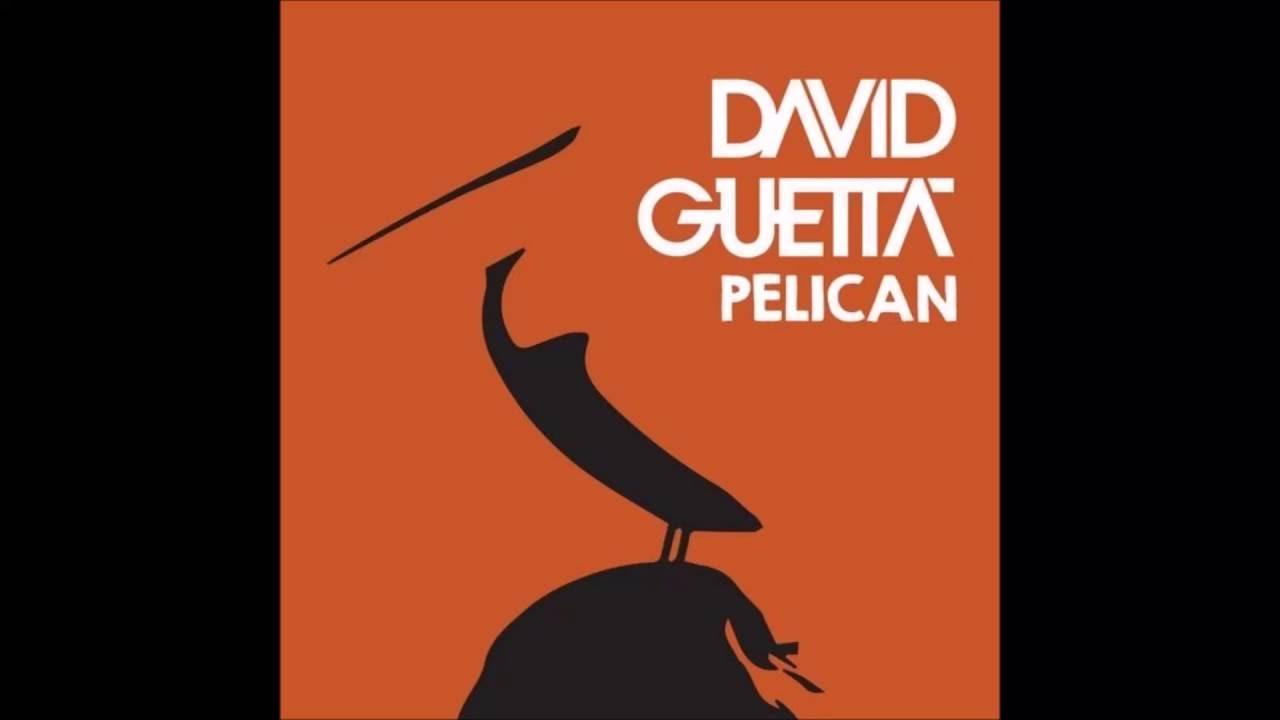 Moment image for David Guetta's "Pelican" extended mix on Jack Back Records reshapes his career with house music.