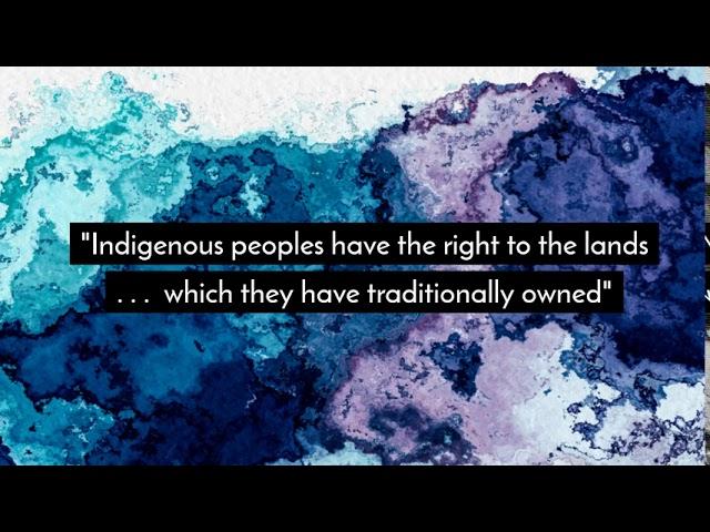 Moment image for UN Declaration on Indigenous Rights: Landmark recognition of rights and well-being of indigenous peoples.