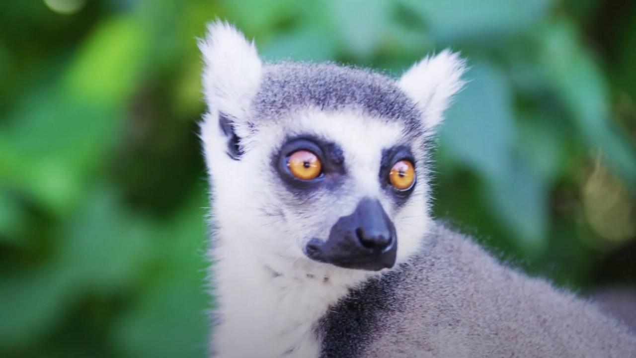 Moment image for International Year of Plant Health: Advancing food security through awareness, collaboration, and innovation.