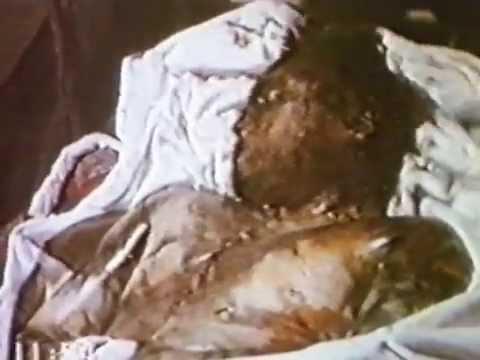 Moment image for Uzbek and Kyrgyz youth clashes marking ethnic tensions 