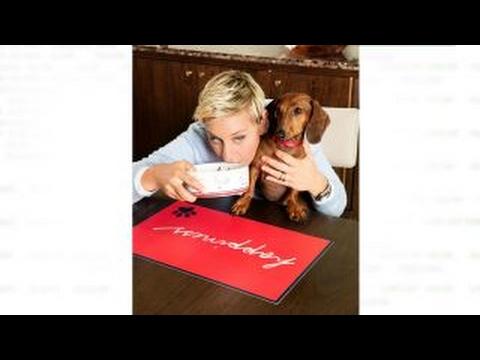 Moment image for Launch of DeGeneres's Pet Collection Featuring Dogs and Cats at PetSmart