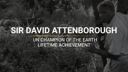 Lifetime Achievement Award (Champions of the Earth)