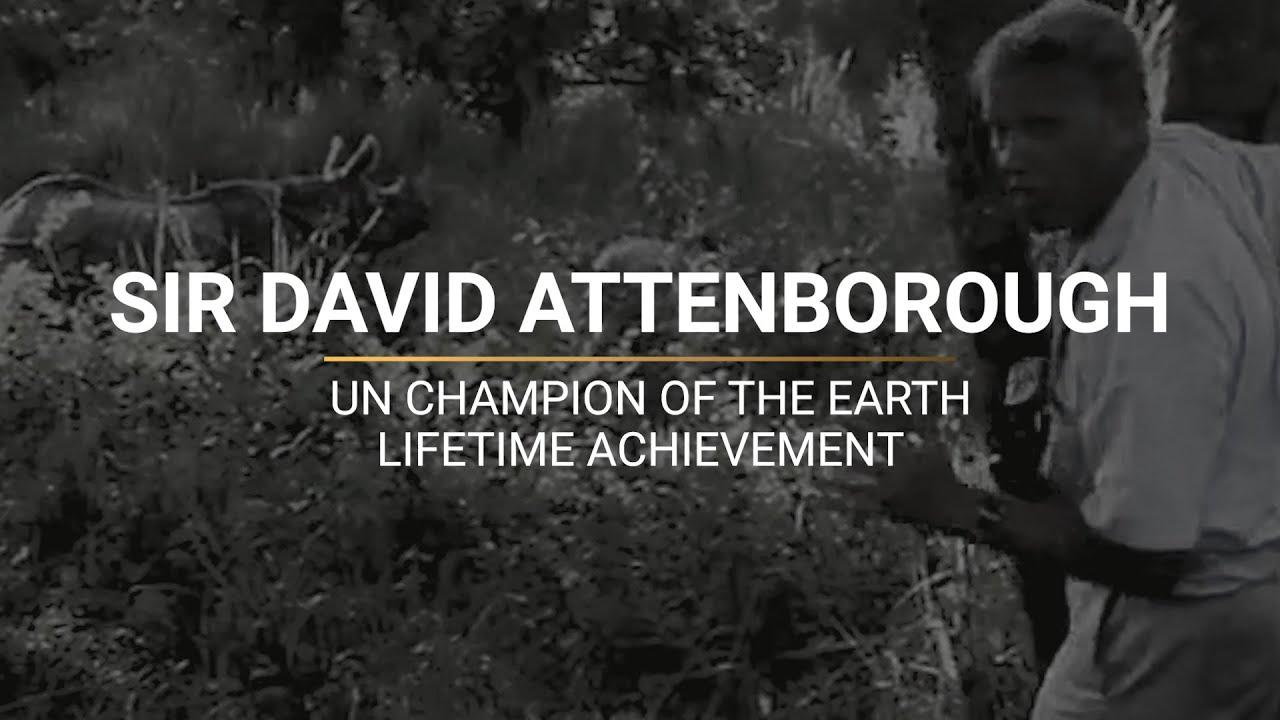 Moment image for Lifetime Achievement Award (Champions of the Earth)