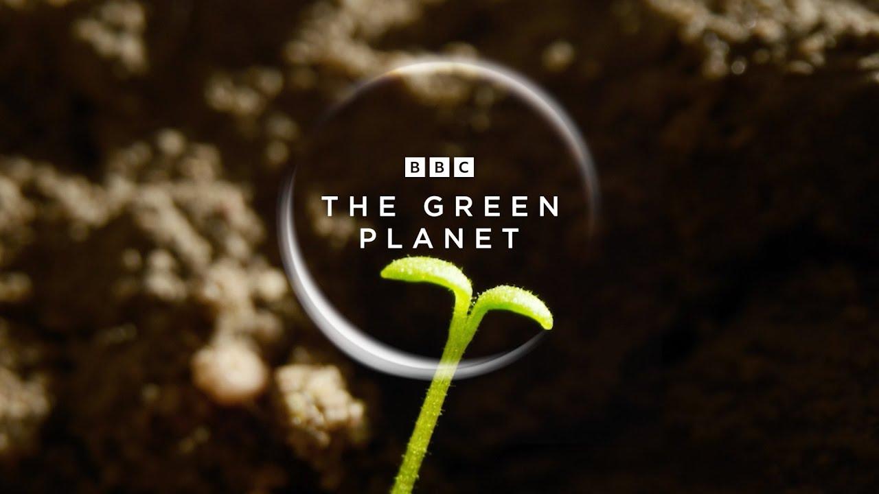 Moment image for Filming of The Green Planet Commences in Cambridge with David Attenborough