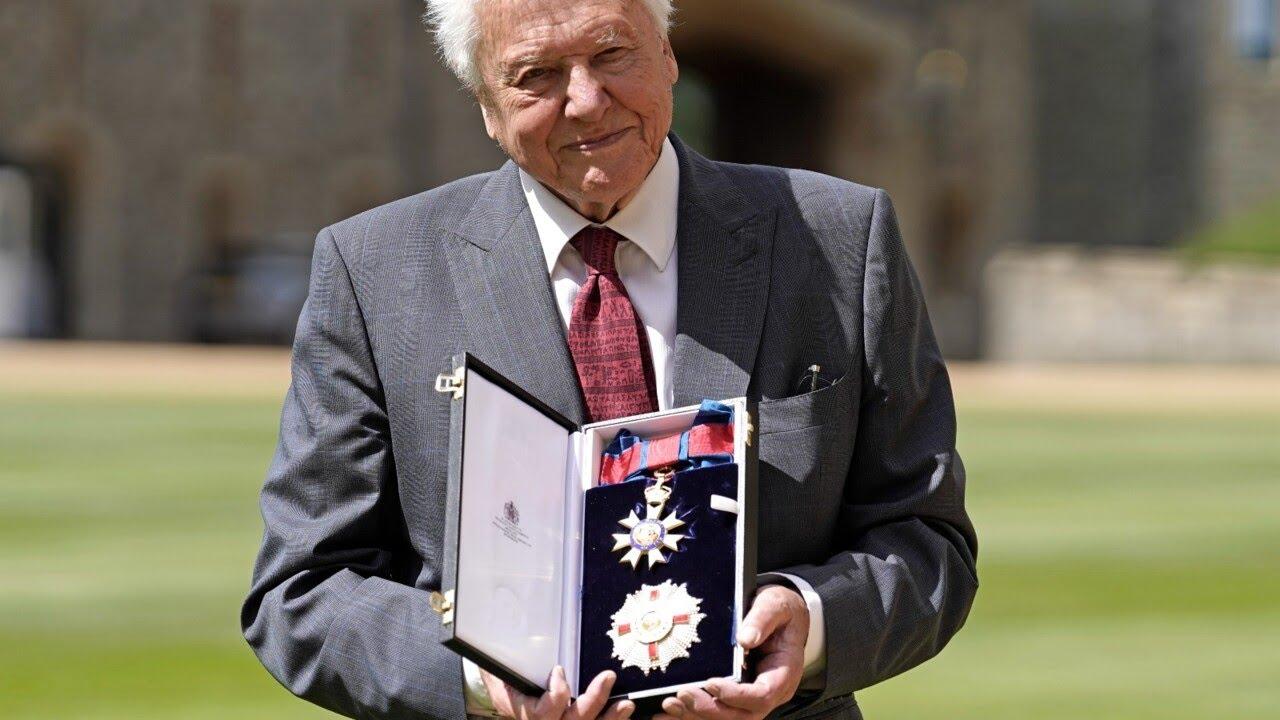 Moment image for David Attenborough Receives Second Knighthood for Contributions to Natural History and Conservation