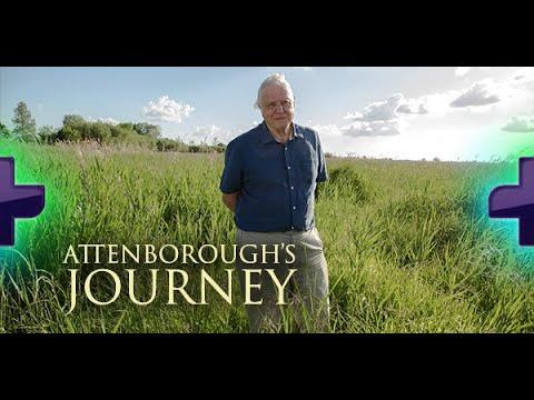Moment image for Documentary Highlights the Contributions of a Nature-Focused Broadcaster in Environmental Awareness