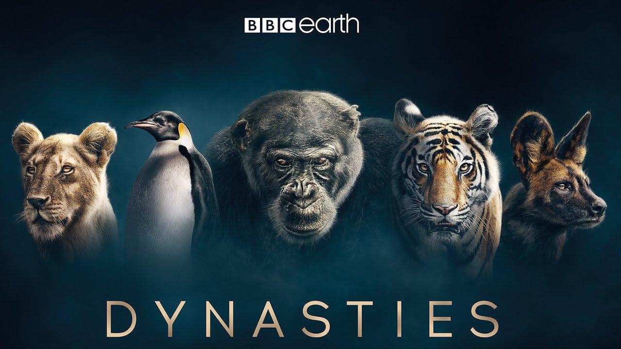 Moment image for David Attenborough's Wildlife Doc Series 'Dynasties' Goes Global