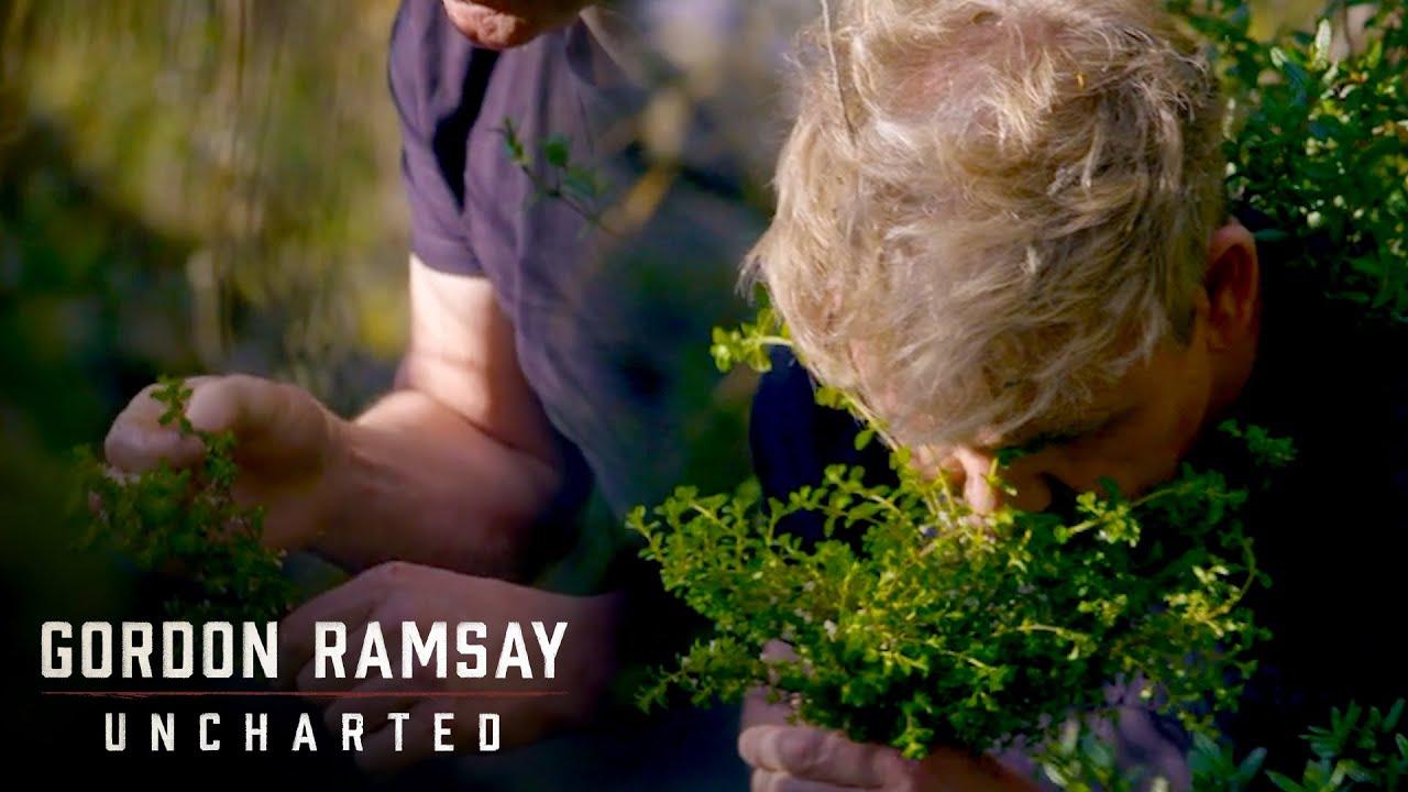 Moment image for Gordon Ramsay: Uncharted Premieres on Nat Geo