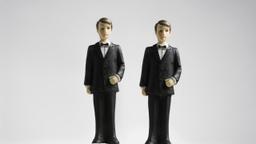 Right to Marriage for Gay Couples