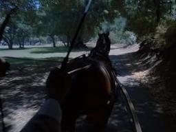 Directed 'Vanessa in the Garden' Episode in 'Amazing Stories' 