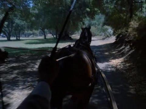 Moment image for Directed 'Vanessa in the Garden' Episode in 'Amazing Stories' 