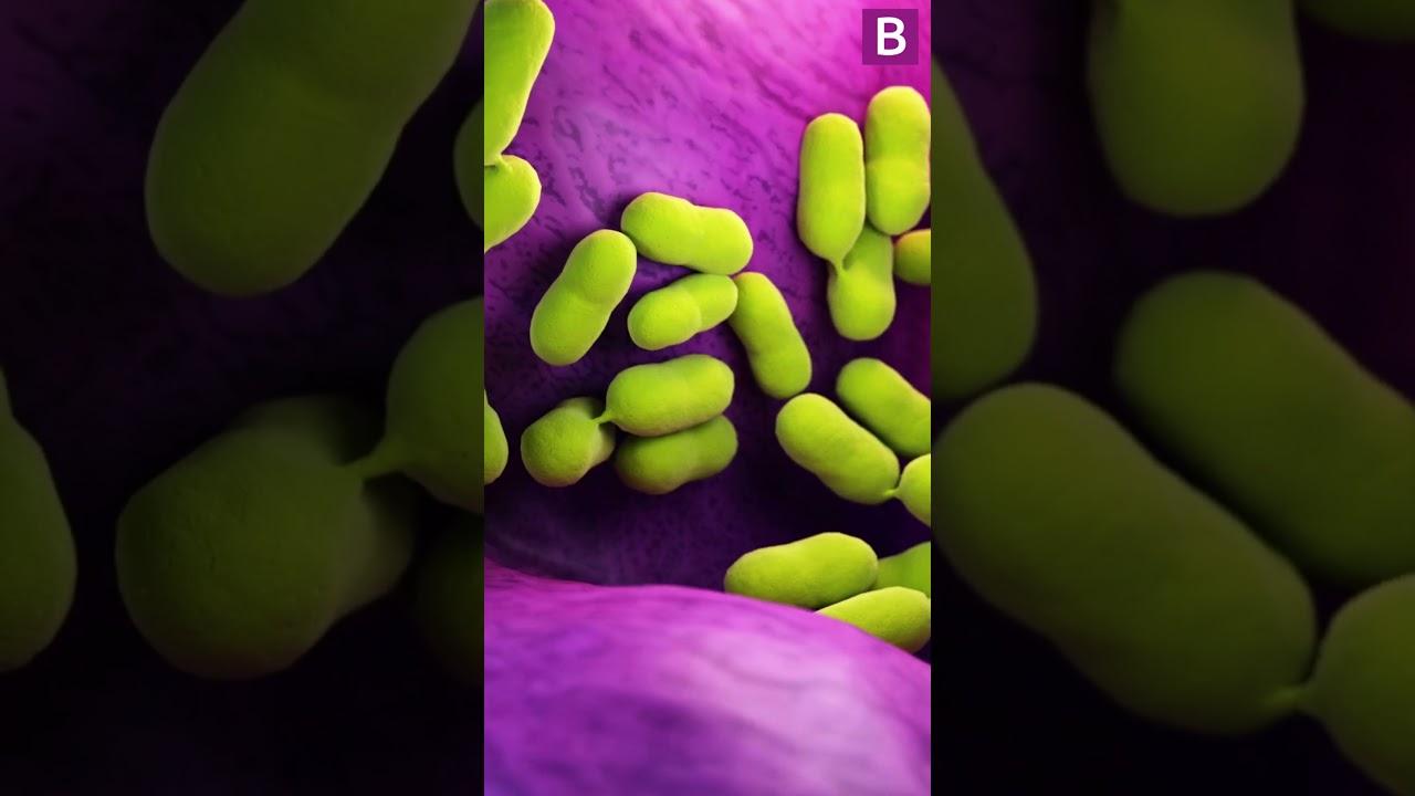 Moment image for Muller Recalls Six Cadbury Desserts