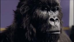 Gorilla Commercial for Cadbury Dairy Milk