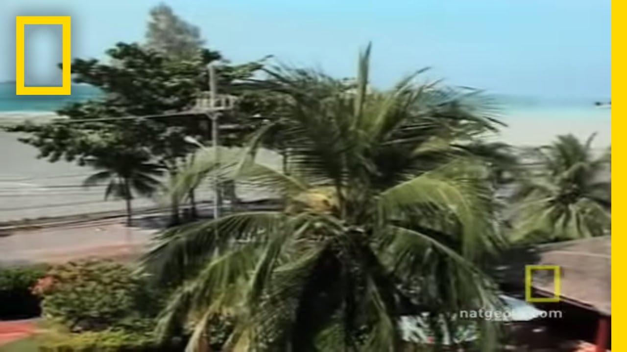 Moment image for 2004 Indian Ocean earthquake and tsunami