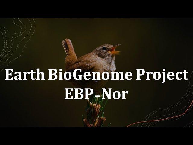 Moment image for Earth BioGenome Project Announcement by WEF