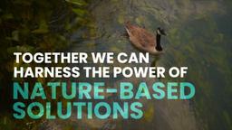 UN Race-to-Zero Emissions Breakthroughs launched