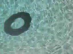 Oldman-directed short film Donut released