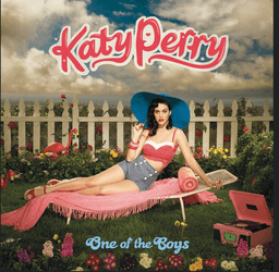 One of the Boys' album: A pop success story with chart-topping hits.