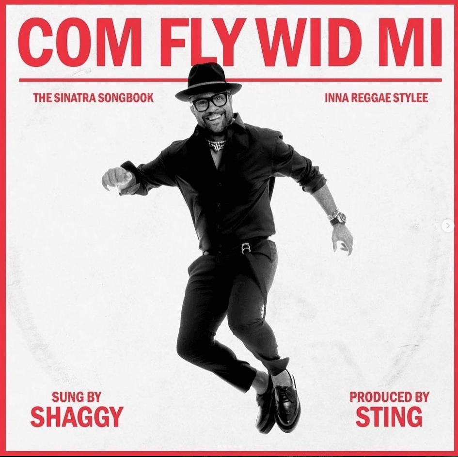 Moment image for Shaggy released his album Com Fly Wid Mi.
