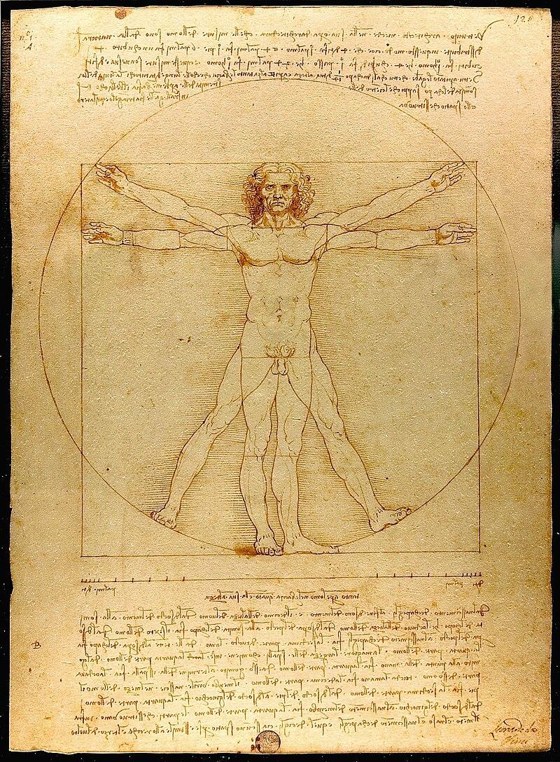 Moment image for Leonardo da Vinci's Vitruvian Man