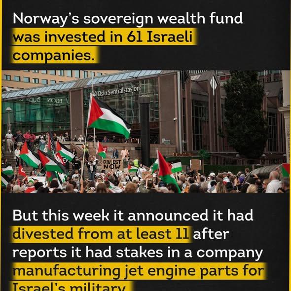 Moment image for Norway Government Pension Fund divests from 11 Israeli companies