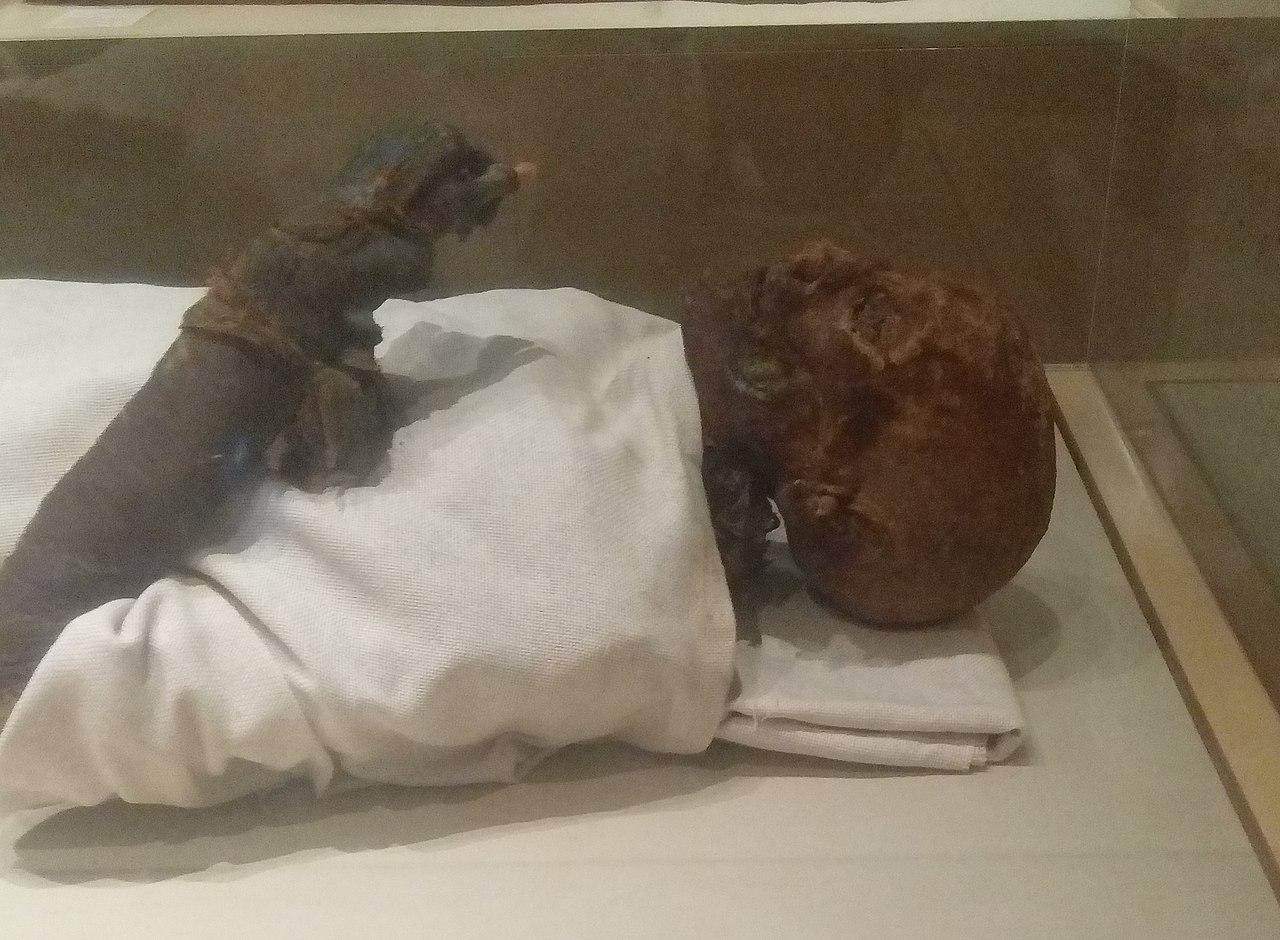 Moment image for Reign of Hatshepsut, powerful female pharaoh.