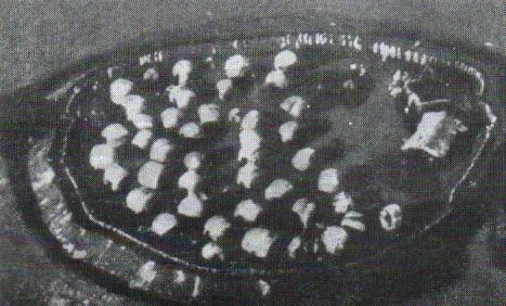 Moment image for Beginning of tensions in the Abyssinia Crisis: League of Nations response and Italy's aggression.