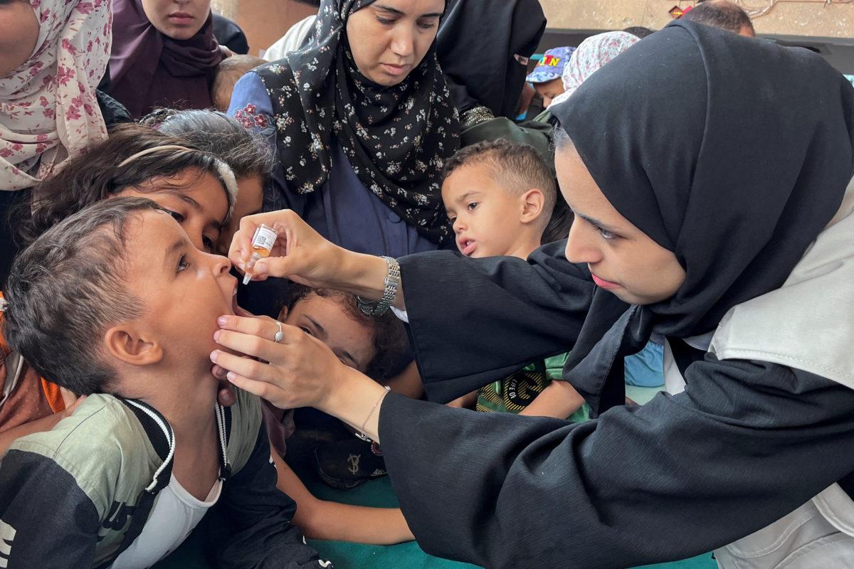 Moment image for Outbreak of Polio Epidemic in the Gaza Strip