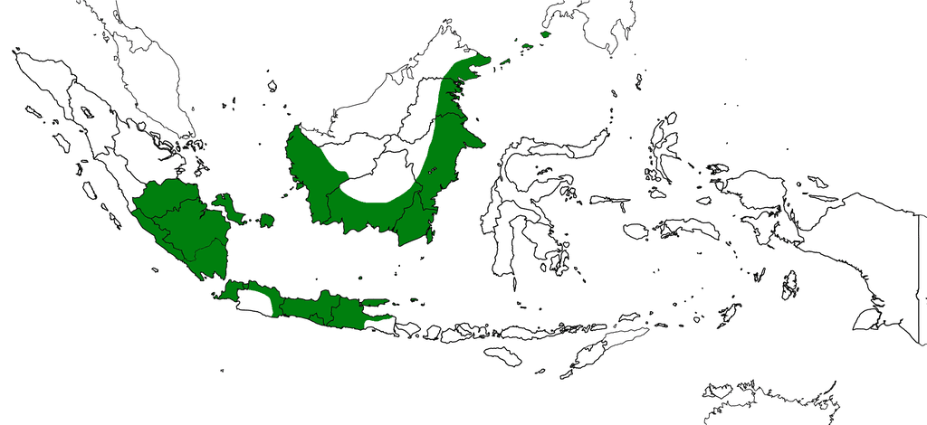 Moment image for Emergence of Demak Sultanate in Java as Islamic power.