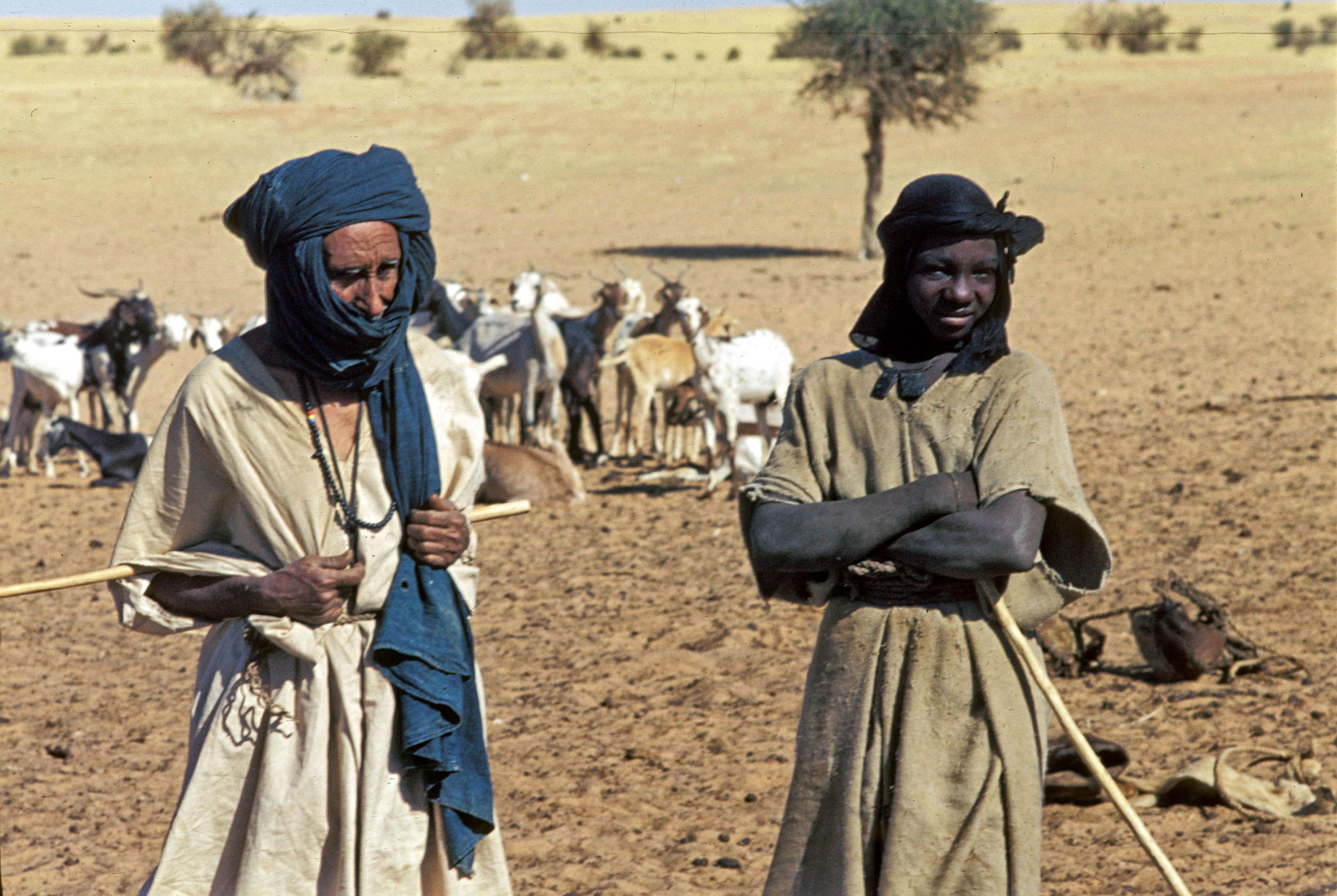 Moment image for Rise of the Tuareg tribe in Fezzan