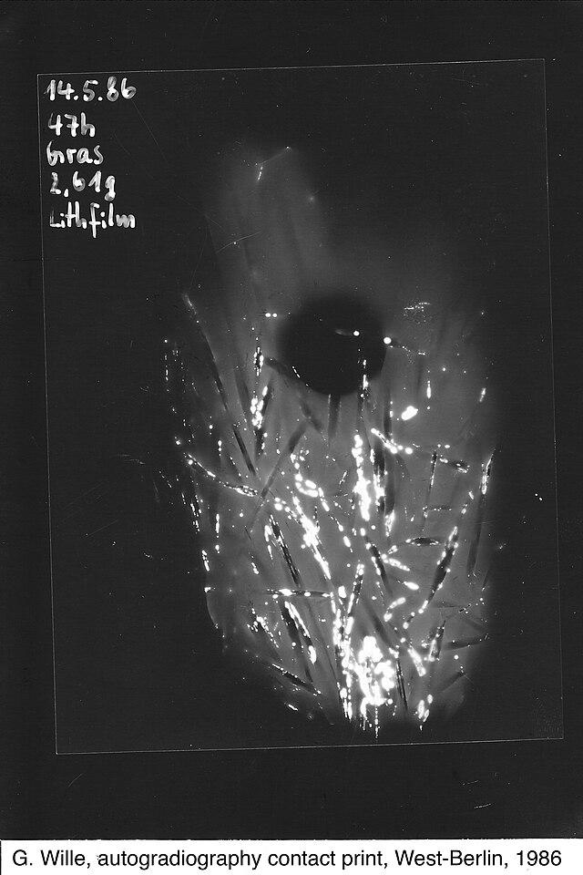 Moment image for Chernobyl Disaster: Catastrophic Nuclear Accident's Lasting Impact