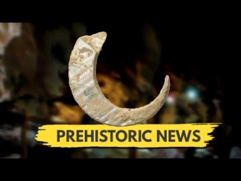 Moment image for Discovery of 23,000-year-old fishhooks on Okinawa Island