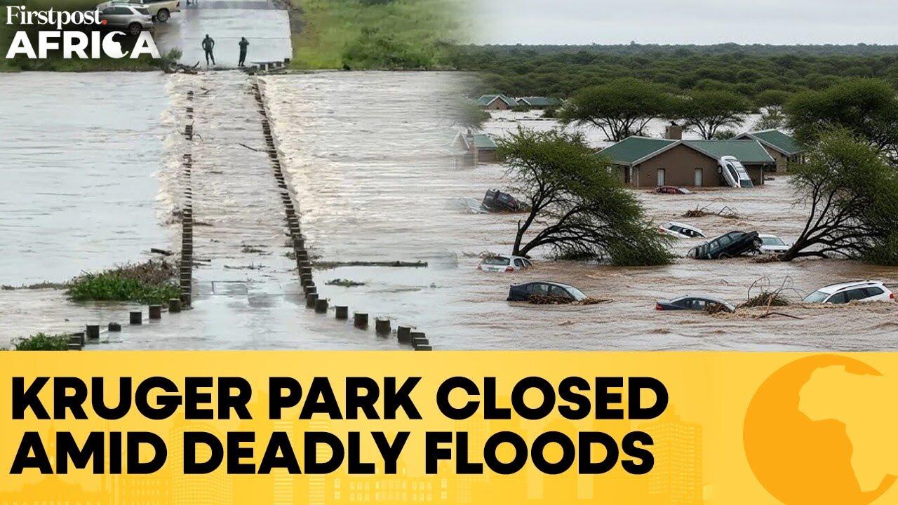 Moment image for Deadly floods force closures and evacuations at South Africa’s Kruger National Park: South Africa Floods