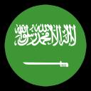 Saudi Arabia logo